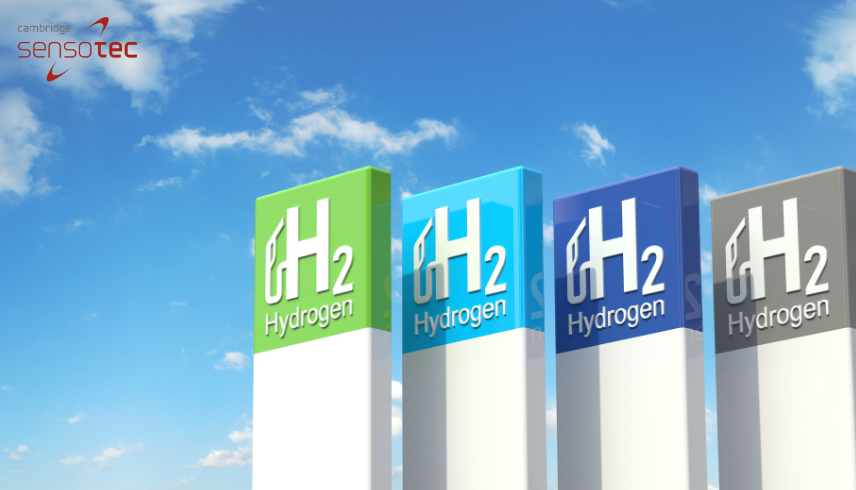 Blue and Green Hydrogen Analysis | Cambridge Sensotec